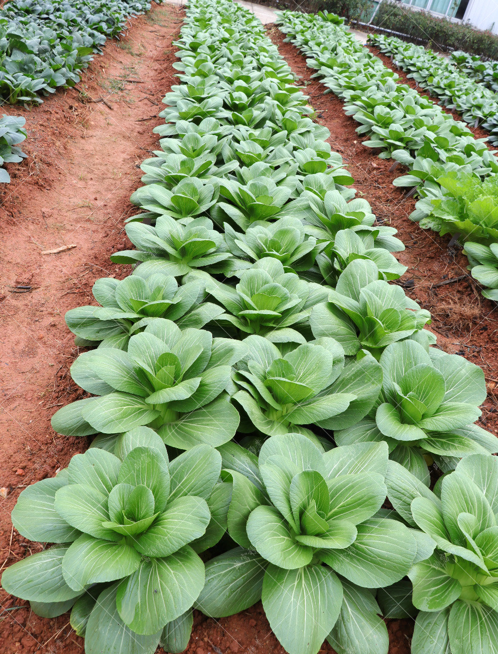 1557820918617725.jpg IMG_4149.jpg