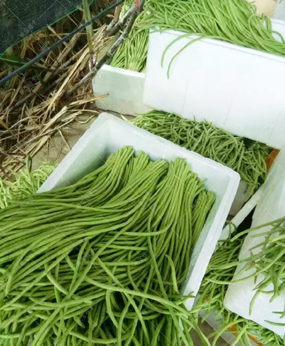 1557990364587446.jpg 54.jpg