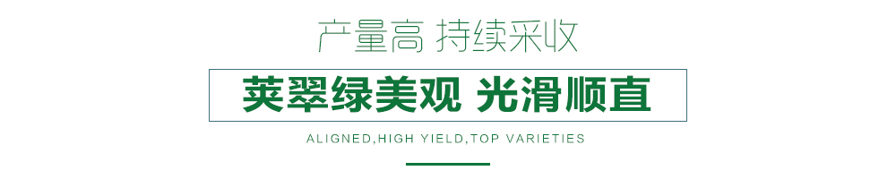 1558055757501326.jpg 詳情頁24.jpg