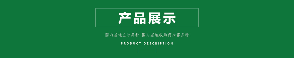 1558057216554457.jpg 00新產(chǎn)品.jpg