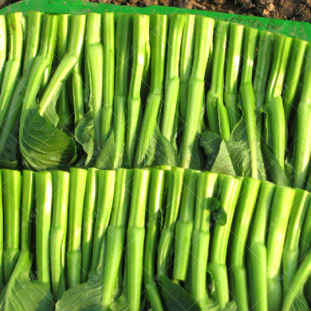 1558591623928177.jpg timg (6).jpg