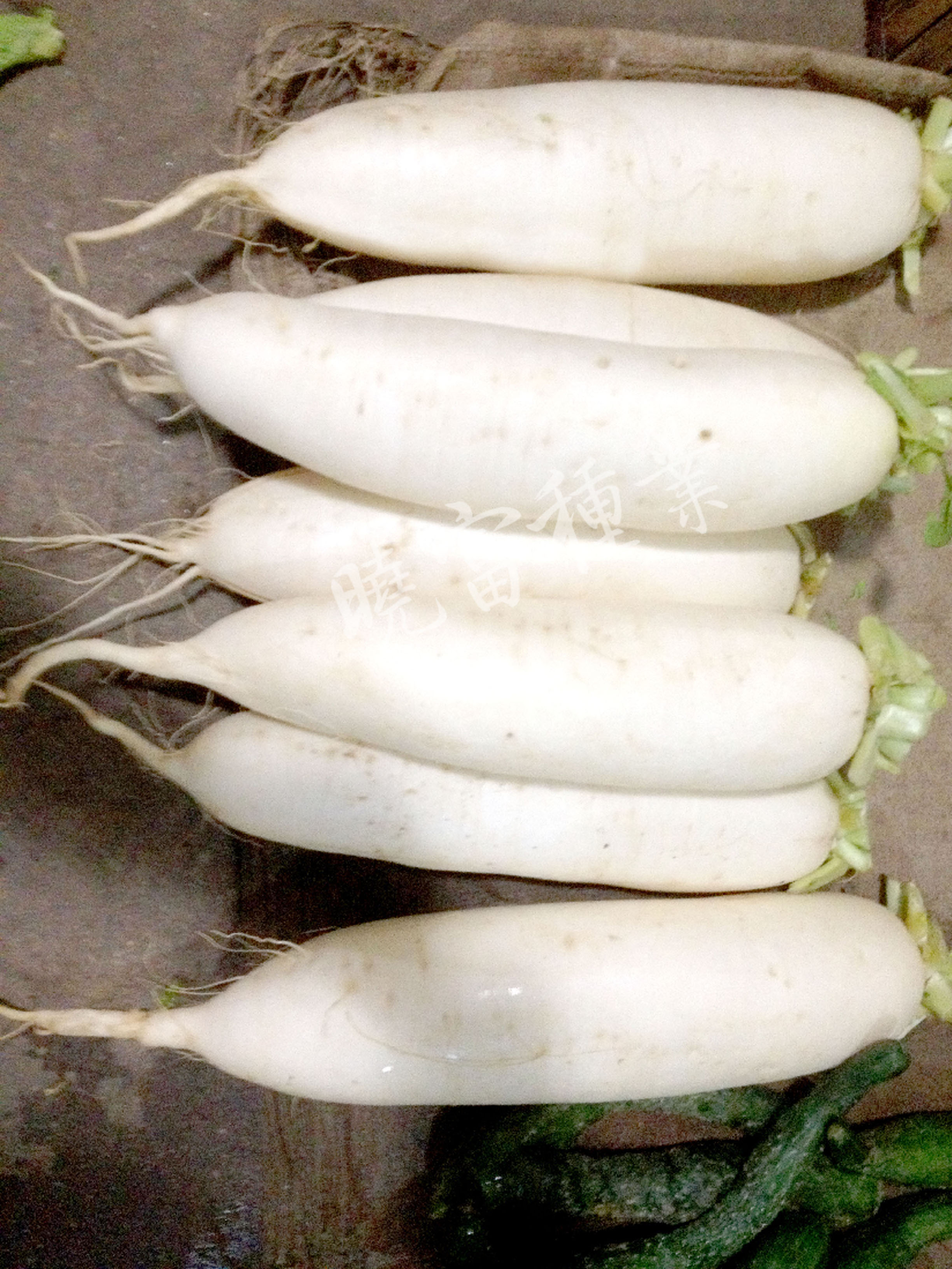 1585788416956889.jpg 04.jpg