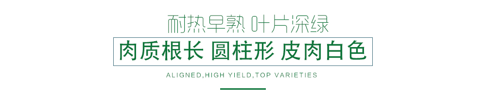 1585789381705043.jpg 07.jpg