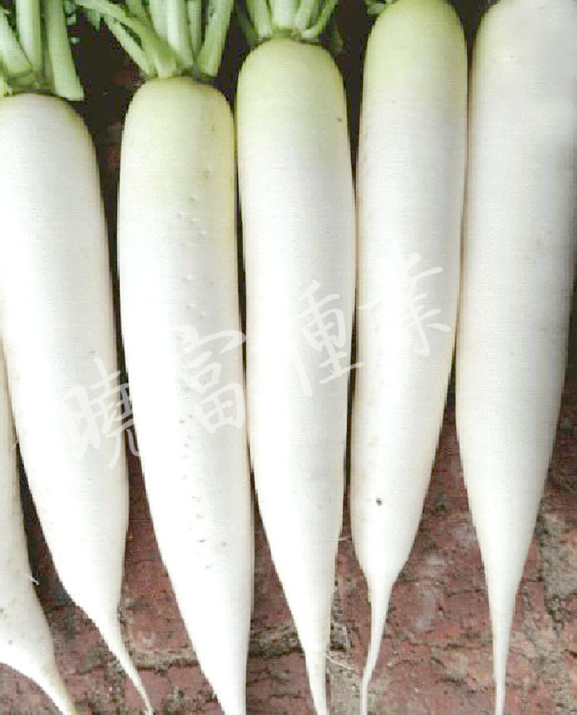 1585789822212844.jpg 08.jpg