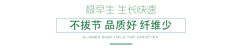 1600245655808941.jpg 03.jpg