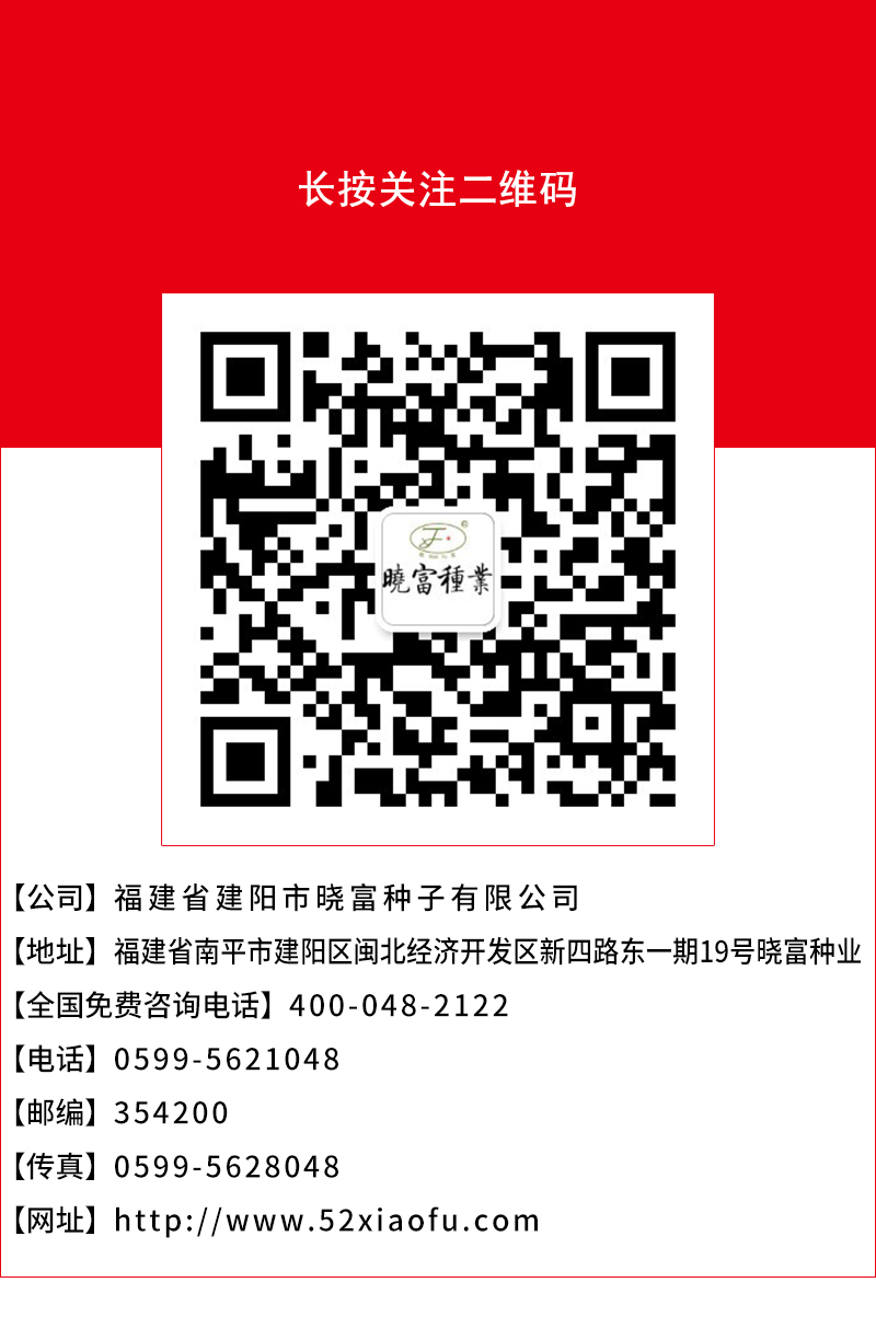 1602036245204313.jpg 頁底.jpg